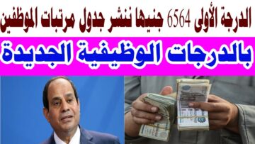 جدول مرتبات الموظفين بالدرجات الوظيفية بعد إضافة العلاوة الاستثنائية