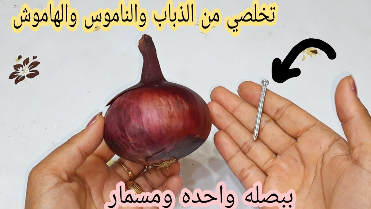 فكرة متجيش على بال العفريت.. بصلة ومسمار للتخلص من الناموس والذباب والهاموش وأي حشرات موجودة في المنزل