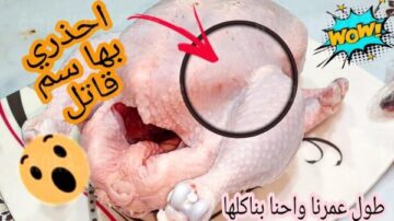 تسبب الكوارث إذا تناولتها.. 4 أجزاء من الدجاج تسبب أمراض خطيرة وتؤثر على صحتك