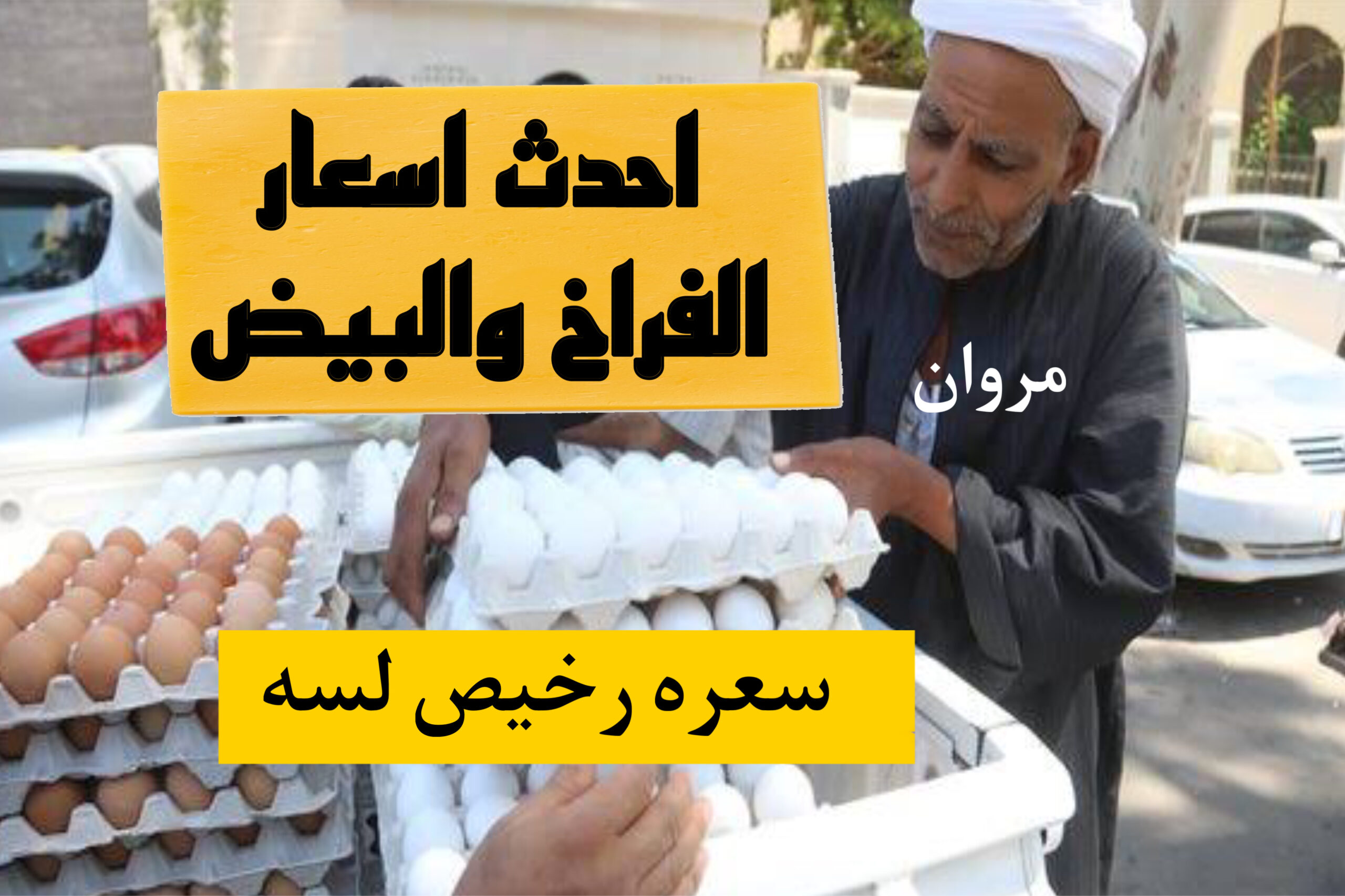 “بكام النهاردة”.. سعر كرتونة البيض اليوم للمستهلك في المحلات والاسواق + بكام اسعار الفراخ والبيض دلوقتي