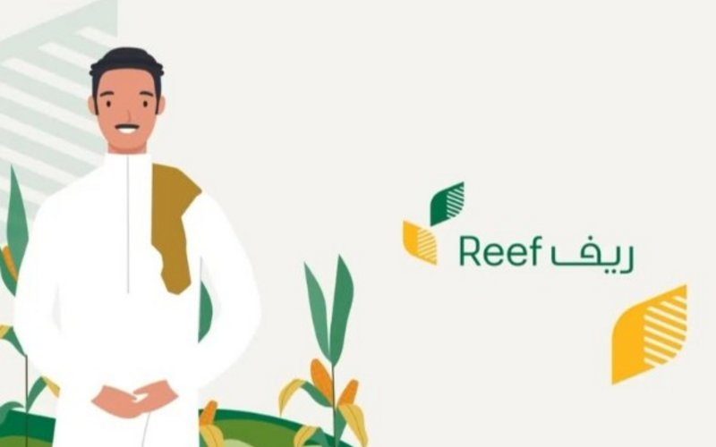 شروط حصول المتقاعدين على دعم ريف 1445 وكيفية التقديم والمستندات المطلوبة 5 شروط حصول المتقاعدين على دعم ريف 1445 وكيفية التقديم والمستندات المطلوبة