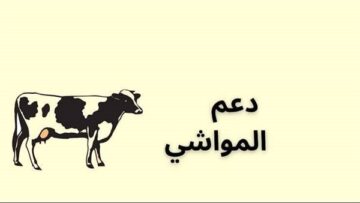 ما شروط التسجيل في دعم المواشي وخطوات التسجيل 2023؟