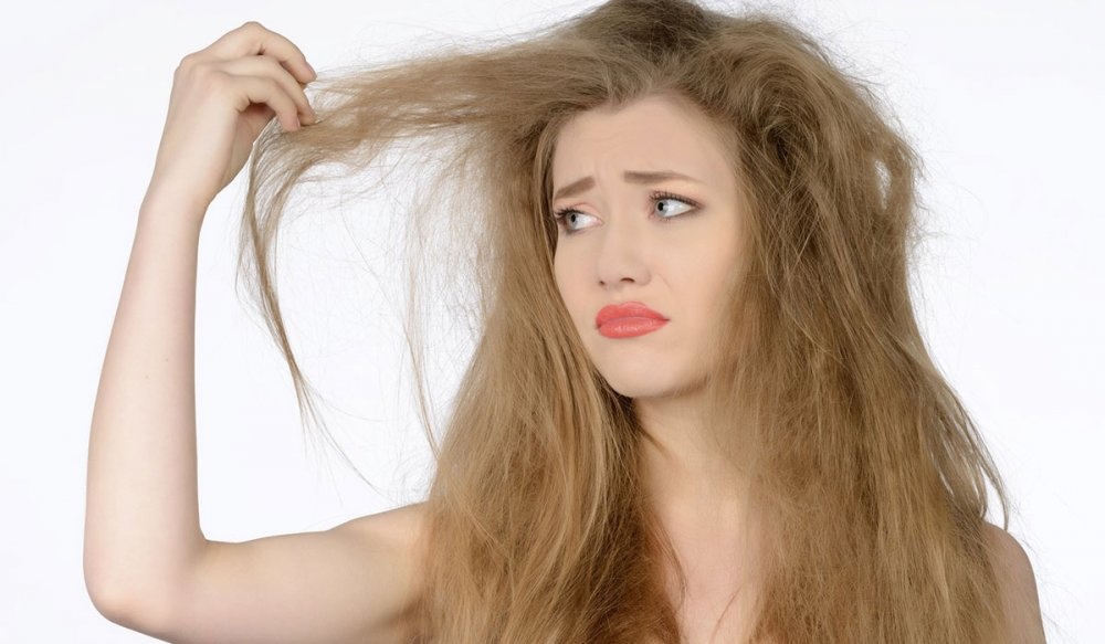 وداعاً للجفاف والتقصف..3 وصفات طبيعية لترطيب الشعر في الشتاء 5 وداعاً للجفاف والتقصف..3 وصفات طبيعية لترطيب الشعر في الشتاء