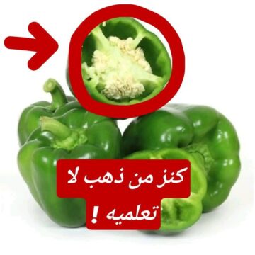 شئ مفيد في بيتنا لا نعلم عنه شئ ! ازاي لغاية دلوقتي متعرفيش فوائد بذور الفلفل؟