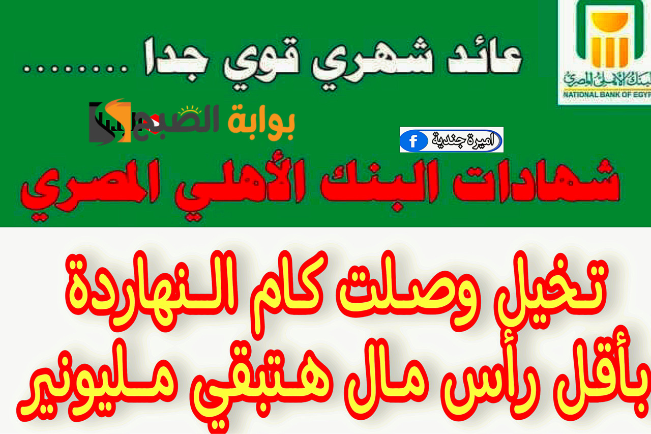 سيبك من الجمعية.. أقوي شهادات البنك الاهلي الجديدة بعد اجتماع البنك المركزي الاخير بفائدة خيالية “مش هتصدق وصلت كام”