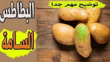 خدي بالك.. احذري من طهي البطاطس بهذه الطريقة الخاطئة تسبب أمراض كثيرة وقد تؤدي إلي الوفاة