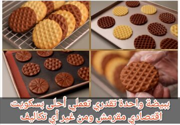ببيضة واحدة تقدري تعملي أحلى بسكويت اقتصادي مقرمش ومن غير أي تكاليف