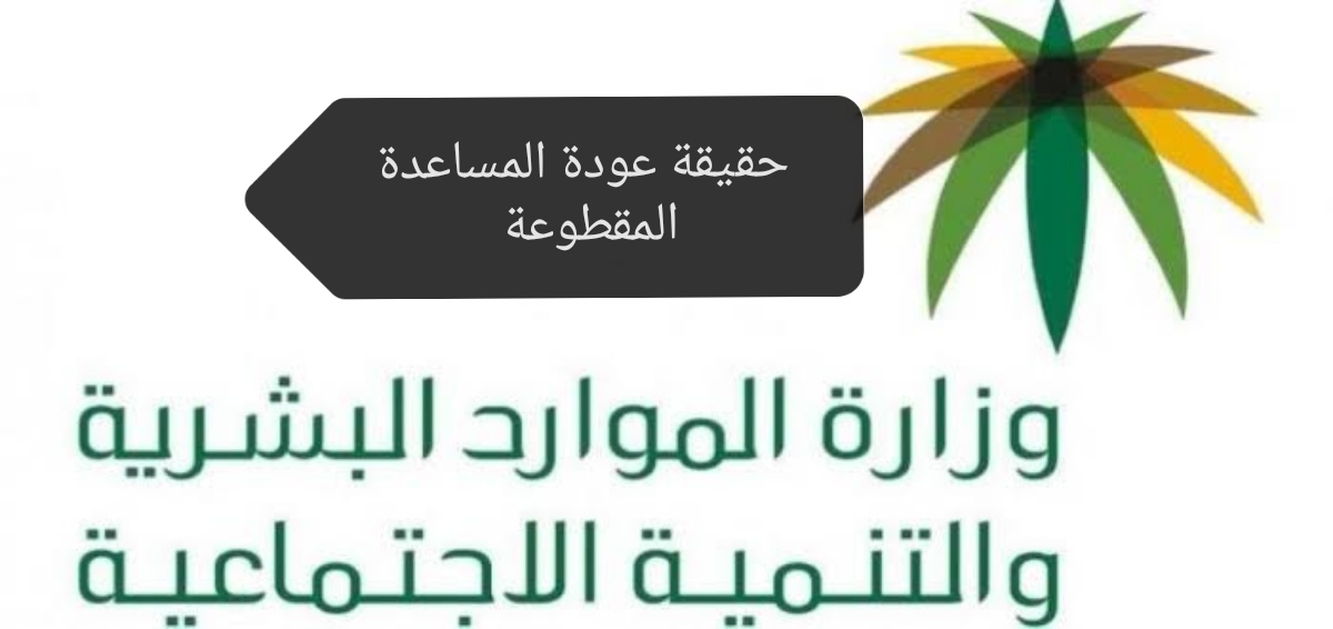 الموارد البشرية توضح حقيقة عودة المساعدة المقطوعة 1445 وخطوات التسجيل في البرنامج 5 الموارد البشرية توضح حقيقة عودة المساعدة المقطوعة 1445 وخطوات التسجيل في البرنامج