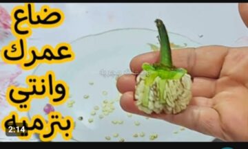 « ضاع عمرنا واحنا مش عارفين فايدتها » .. طلعت أهم من الفلفل .. اوعي ترمي عقب الفلفل كنز رباني