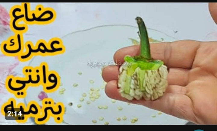 « ضاع عمرنا واحنا مش عارفين فايدتها » .. طلعت أهم من الفلفل .. اوعي ترمي عقب الفلفل كنز رباني