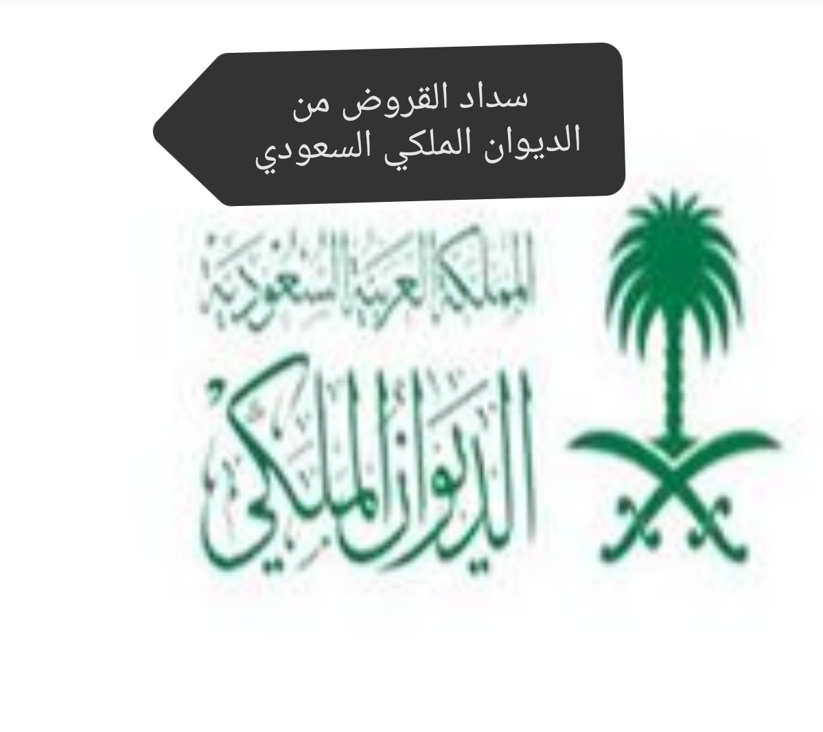 في حالة التعثر في السداد تعرف على طريقة الإعفاء من سداد القروض من الديوان الملكي السعودي 1446