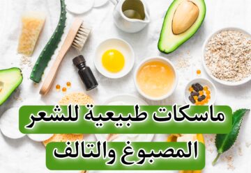 ماسكات طبيعية للشعر المصبوغ والتالف.. تخلصي من مشاكل شعرك بنفسك