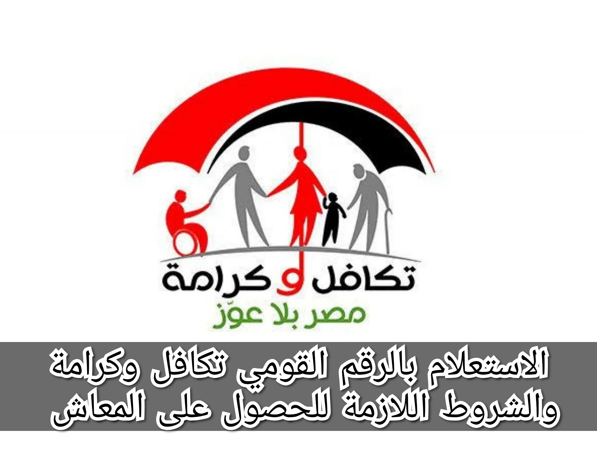 الاستعلام بالرقم القومي تكافل وكرامة والشروط اللازمة للحصول على المعاش 5 الاستعلام بالرقم القومي تكافل وكرامة والشروط اللازمة للحصول على المعاش