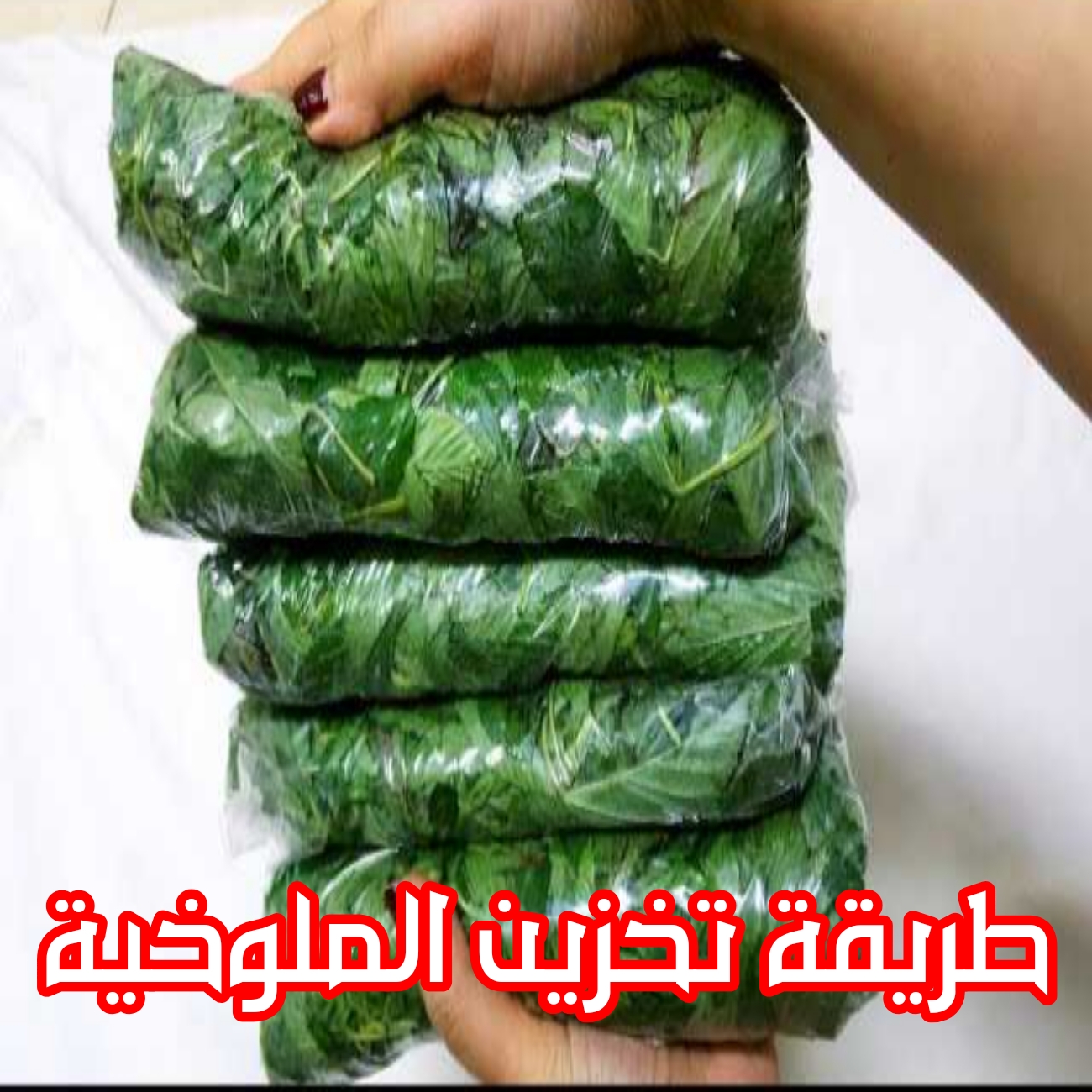 سر حفظ الملوخية.. في الفريزر لمدة 6 شهر وهتفضل زي ماهي خضراء وطازجة هتقولي أنا ازاي معملتش كدة من زمااان