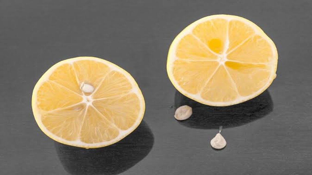 مفاجأة تحدث لجسمك عند بلع بذور الليمون من غير ما تحس 5 مفاجأة تحدث لجسمك عند بلع بذور الليمون من غير ما تحس