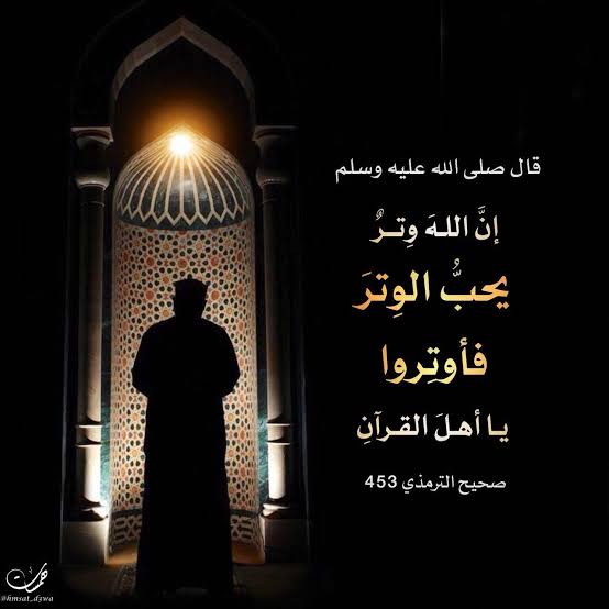 "عشان الثواب ما يروحش"... طريقة صلاة الوتر وعدد الركعات ووقتها 5 “عشان الثواب ما يروحش”… طريقة صلاة الوتر وعدد الركعات ووقتها