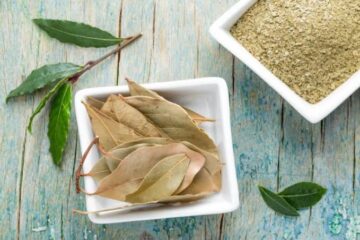 لو عاوزة عودك يبقى فرنساوي.. عشبة معجزة مفعولها جبار هتشيل الكرش والجناب في 3 أيام