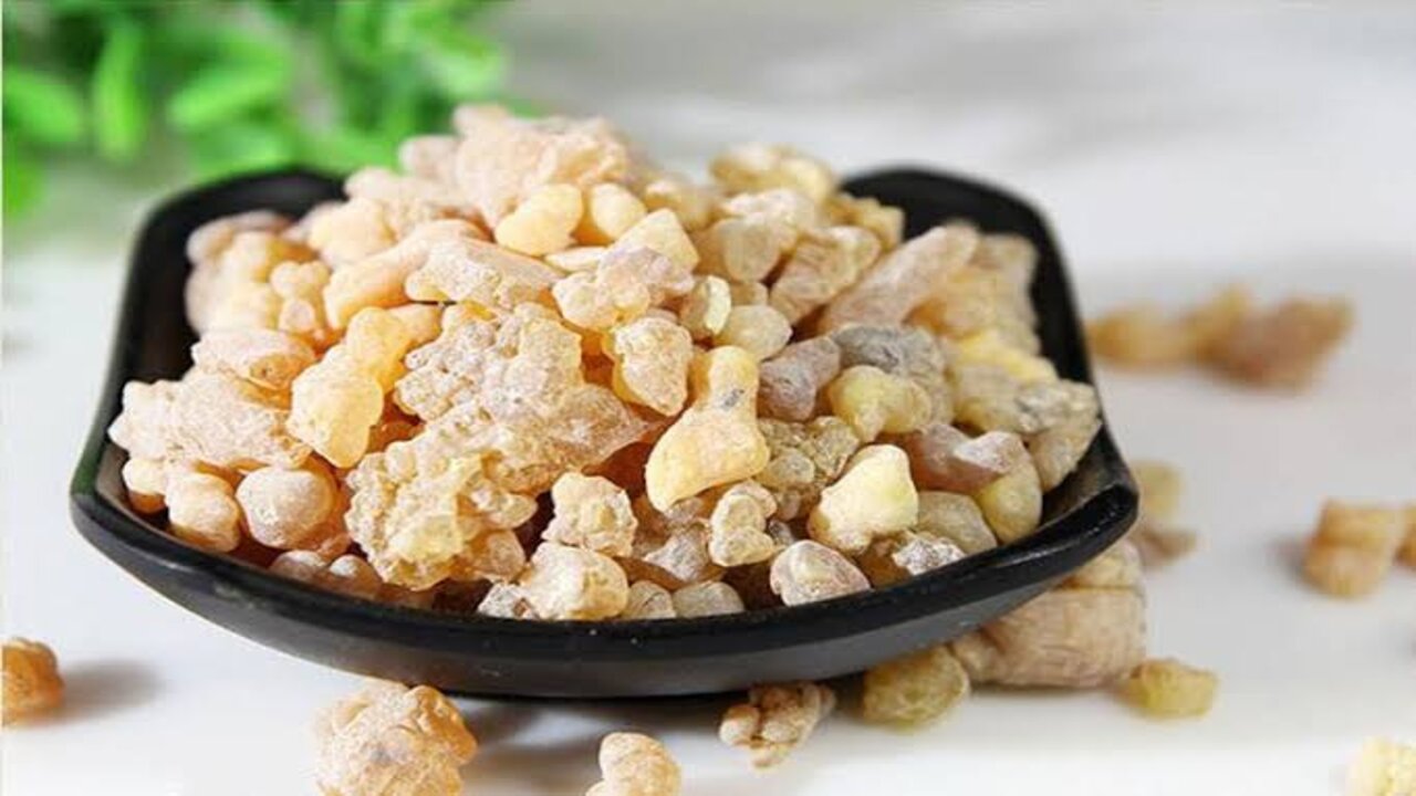 فيها مادة أغلى من الدهب.. عشبة كولاجين طبيعي هترجعك زي القمر