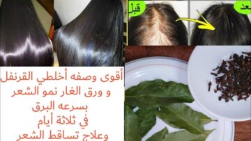 لنعومة شعرك وصفات طبيعية لتنعيم وتطويل الشعر في البيت