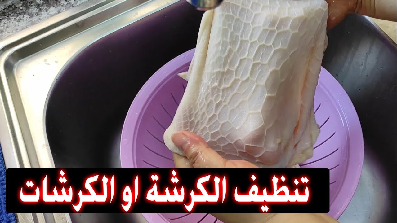 طريقة تنظيف الكرشة من الوساخة والسواد وهتبقى بيضاء وزي الفل 5 طريقة تنظيف الكرشة من الوساخة والسواد وهتبقى بيضاء وزي الفل