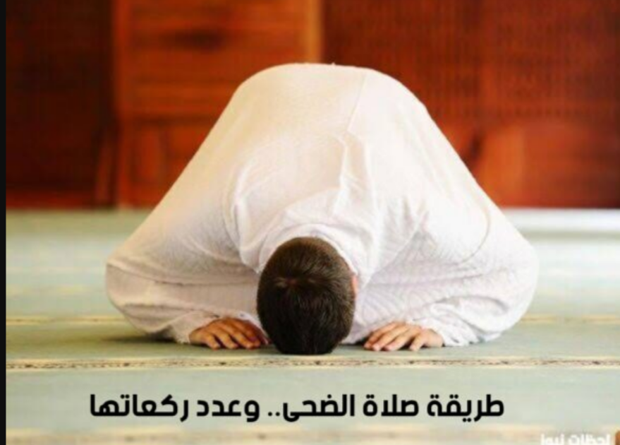 طريقة صلاة الضحى.. وعدد ركعاتها 5 طريقة صلاة الضحى.. وعدد ركعاتها