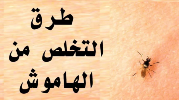 طريقة فعالة 100%.. كيفية التخلص من الهاموش في المنزل
