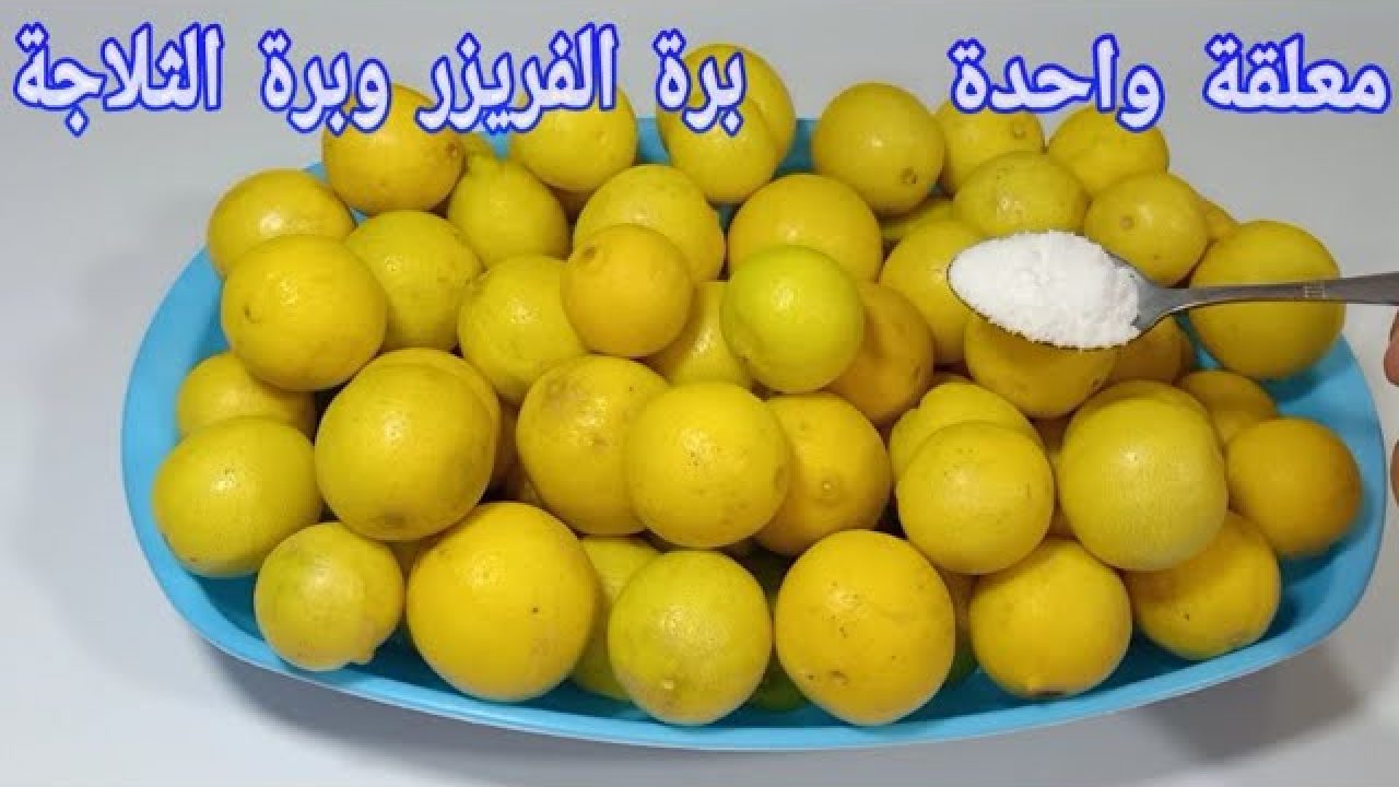 طريقه تخزين الليمون بكميات كبيرة من السنه للسنه هيفضل طازه كأنه جديد 5 طريقه تخزين الليمون بكميات كبيرة من السنه للسنه هيفضل طازه كأنه جديد