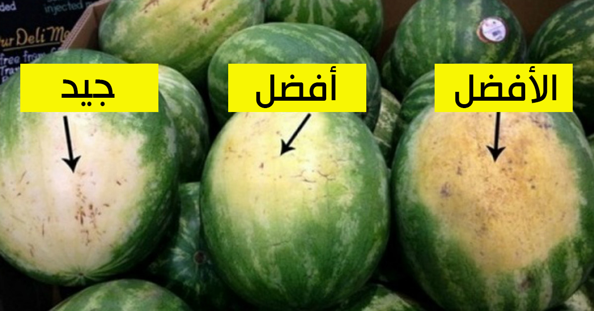 احذر غش التجار أزاي تعرف البطيخة حمرا ولا قرعة من غير ما تفتحها في ثواني 5 احذر غش التجار أزاي تعرف البطيخة حمرا ولا قرعة من غير ما تفتحها في ثواني