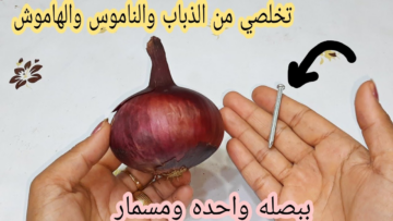 أقوى وصفة لطرد الحشرات ببصلة ومسمار..وداعاً للنمل والذباب والناموس نهائياً