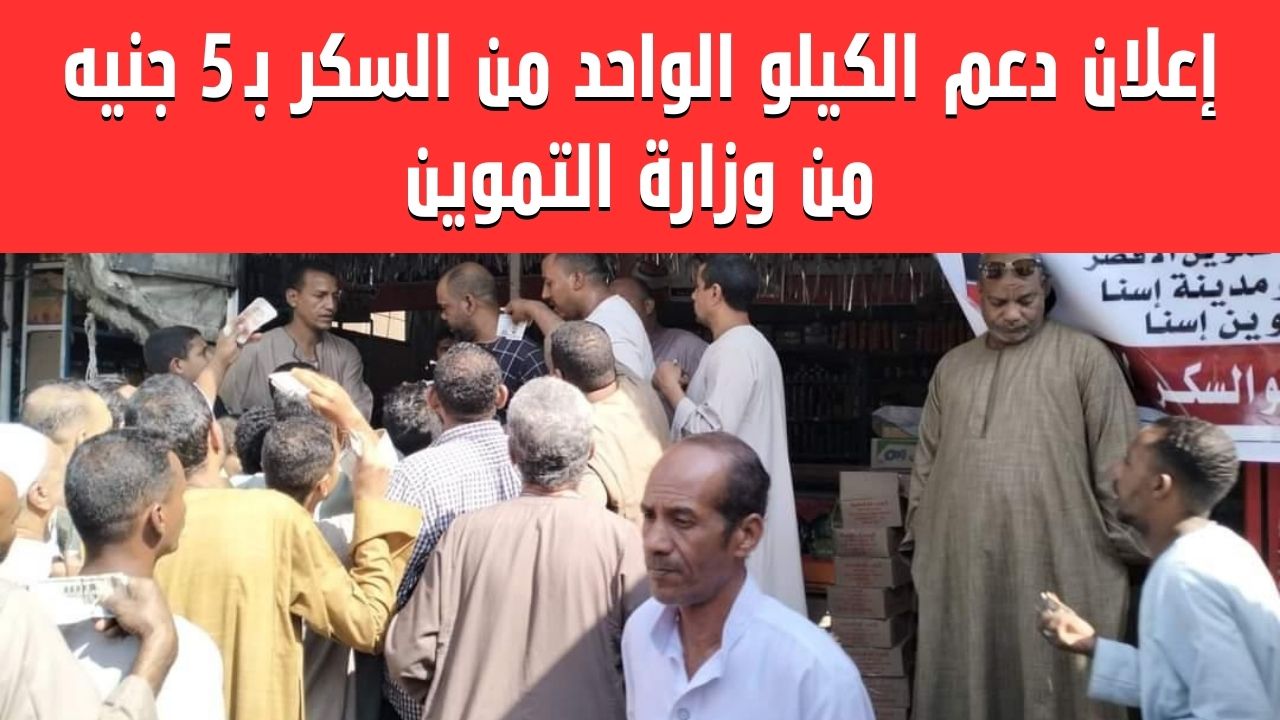 "سكرك متسيطر على سعره".. وزير التموين يُصرح تصريح هام للمواطنين حول سعر كيلو السكر 5 “سكرك متسيطر على سعره”.. وزير التموين يُصرح تصريح هام للمواطنين حول سعر كيلو السكر