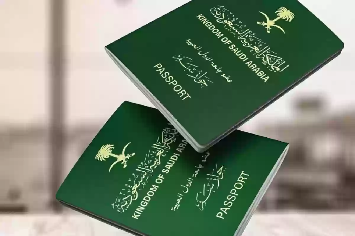 3 إجراءات يجب فعلهم عند فقدان جواز السفر الخاص بك 5 3 إجراءات يجب فعلهم عند فقدان جواز السفر الخاص بك