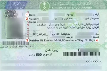 الاستعلام عن تأشيرة السعودية برقم الجواز 1445 عبر منصة إنجاز “خطوة بخطوة”