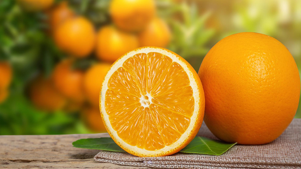 مش هتمنعه من بيتك بعدها.. ماذا يحدث لجسمك عند تناول برتقالة واحدة كل يوم في فصل الشتاء؟!.. أطباء يجيبون 5 مش هتمنعه من بيتك بعدها.. ماذا يحدث لجسمك عند تناول برتقالة واحدة كل يوم في فصل الشتاء؟!.. أطباء يجيبون
