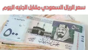 “راكز جوه وطاير بره لفوق الـ13 جنيه”.. تذبذب مفاجئ يسيطر على سعر الريال السعودي اليوم في مصر مقابل الجنيه