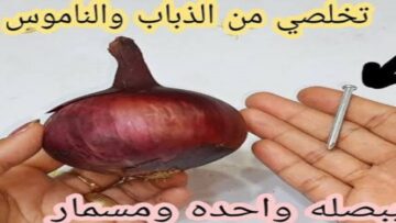 ببصله واحده ومسمار  قولي ودعا النمل والذباب والناموس نهائيا من أول استخدام
