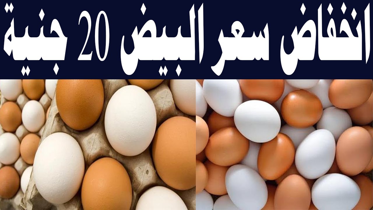 "هتوصل 80 جنيه معقولة؟!".. الحكومة توضح مصير سعر كرتونة البيض وهل ممكن يوصل لـ 80 تاني؟ 5 “هتوصل 80 جنيه معقولة؟!”.. الحكومة توضح مصير سعر كرتونة البيض وهل ممكن يوصل لـ 80 تاني؟