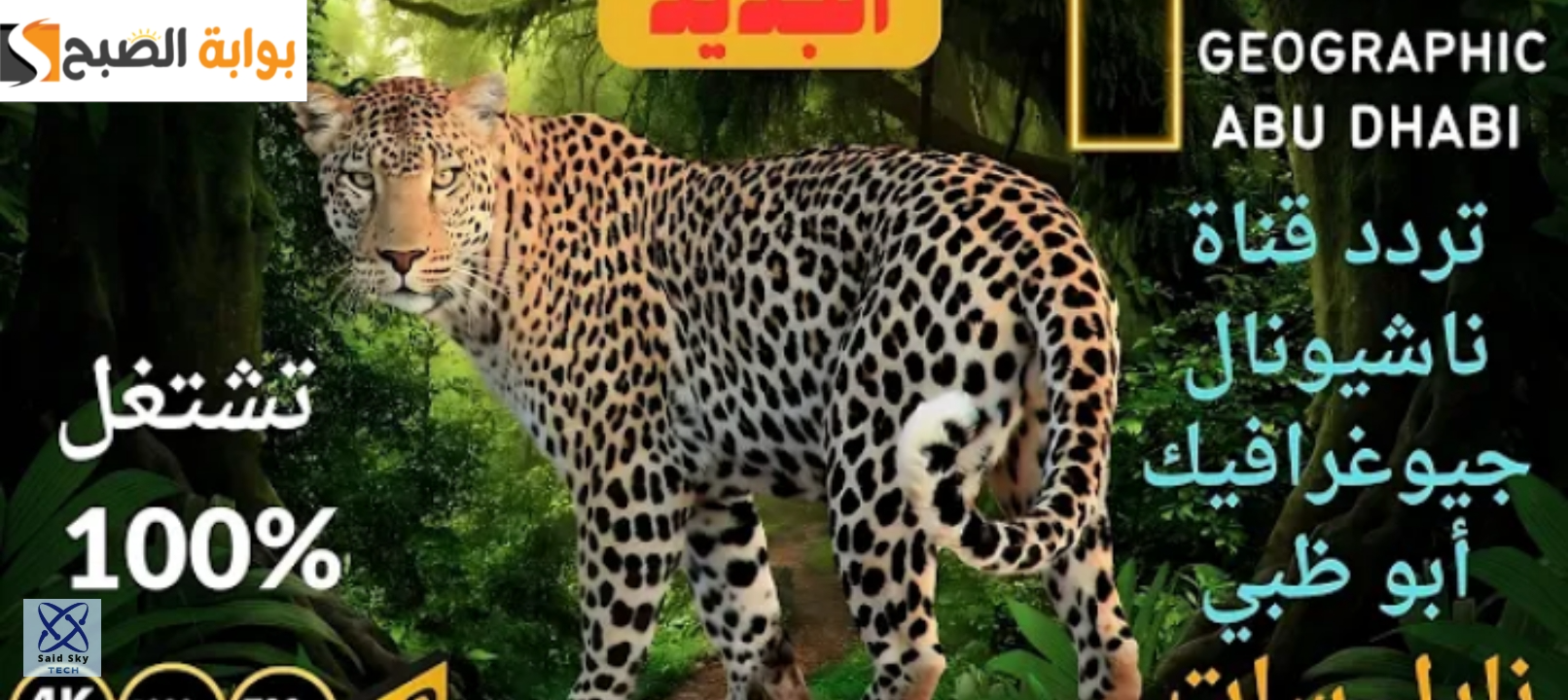 احدث تردد قناة ناشيونال جيوغرافيك أبو ظبي HD نايل سات وعرب سات 2024