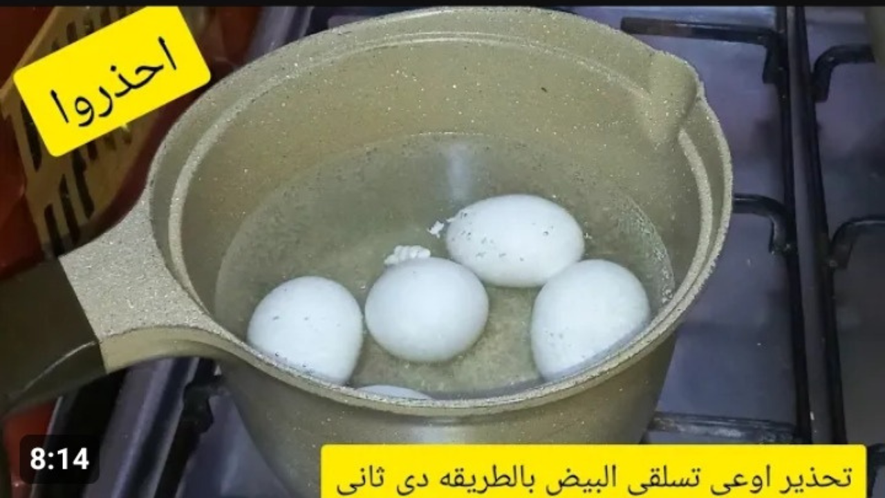« عيالك هتروح منك والسبب إنتي » .. مصيبة الأمهات بتعملها يومياً عند سلق البيض بتتحول إلى سم قاتل