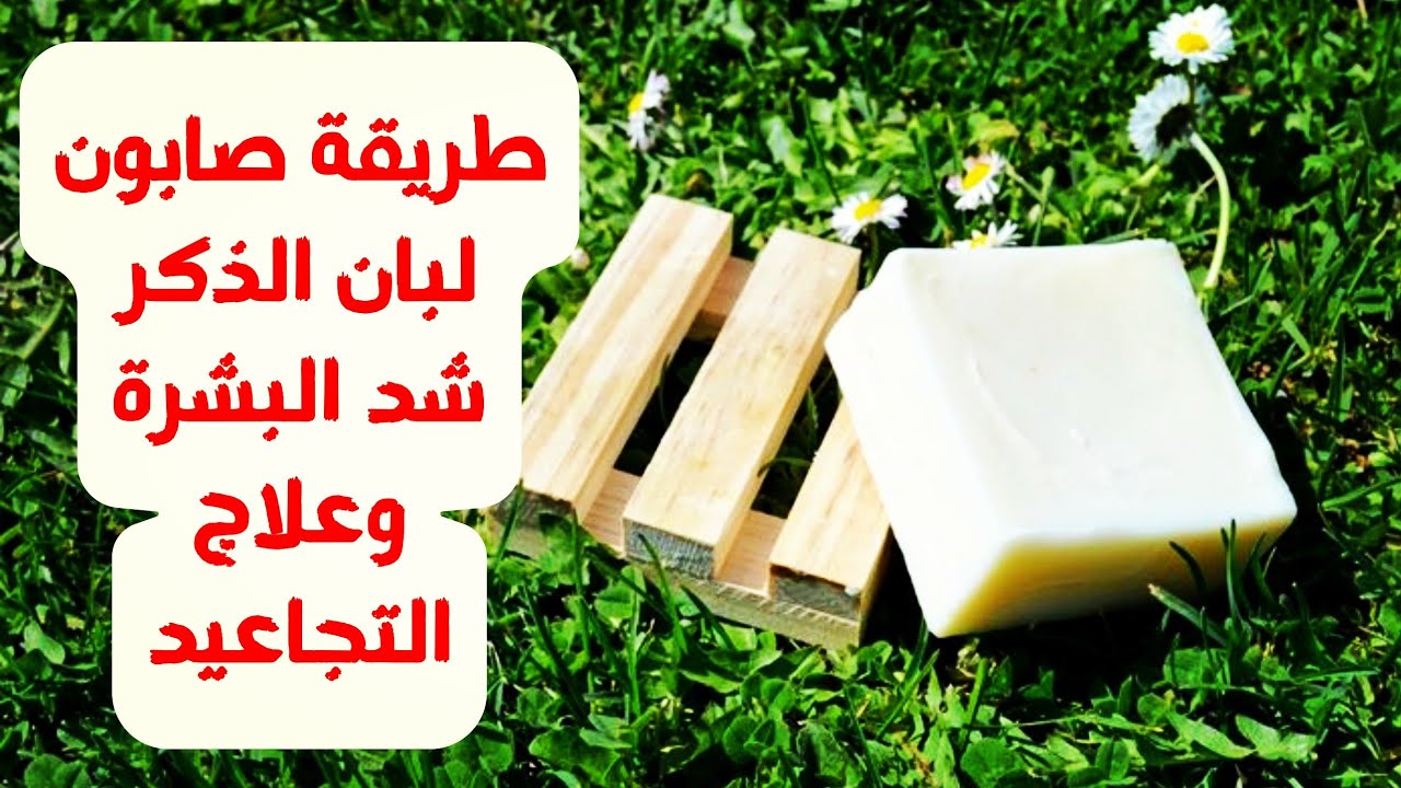 كولاجين طبيعي لتفتيح وتجديد نضارة البشرة .. تحضير صابونة لبان الذكر في المنزل بخطوات سهلة 5 كولاجين طبيعي لتفتيح وتجديد نضارة البشرة .. تحضير صابونة لبان الذكر في المنزل بخطوات سهلة