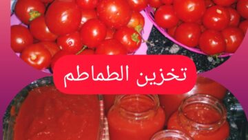 أفضل طريقة لحفظ الطماطم في الفريزر بدون تغير في الطعم أو اللون