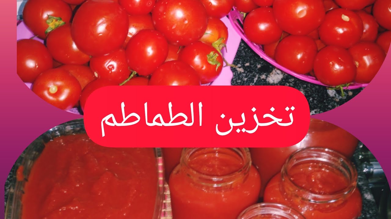 أفضل طريقة لحفظ الطماطم في الفريزر بدون تغير في الطعم أو اللون
