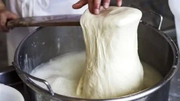 الموتزاريلا المطاطية…تعالى هقولك على طريقة عمل الجبنة الموزاريلا في البيت احسن وافر من الجاهز