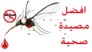 “لا هش ولا زن” اصنعي بنفسك مصيدة الناموس للقضاء عليه بشكل نهائي من منزلك