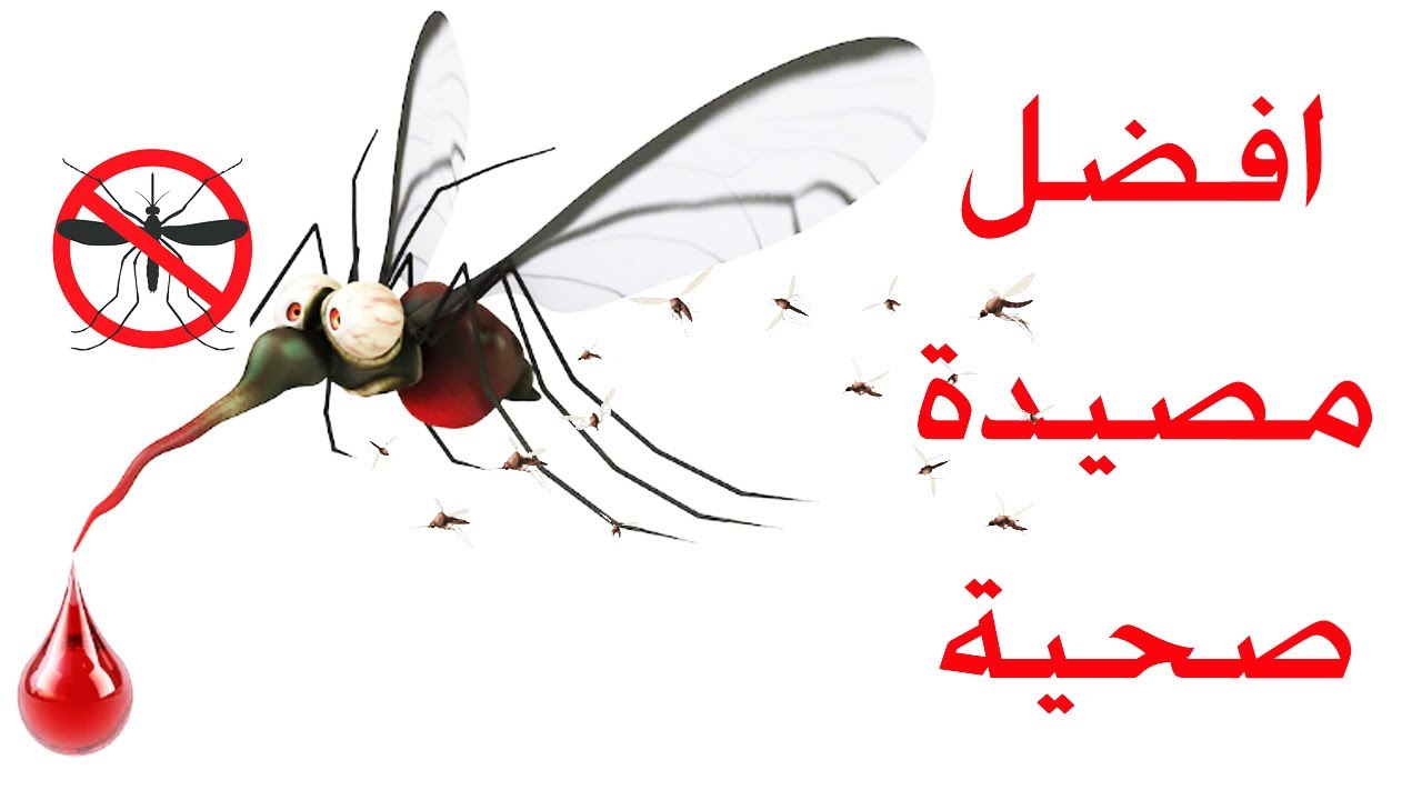 "لا هش ولا زن" اصنعي بنفسك مصيدة الناموس للقضاء عليه بشكل نهائي من منزلك 5 “لا هش ولا زن” اصنعي بنفسك مصيدة الناموس للقضاء عليه بشكل نهائي من منزلك