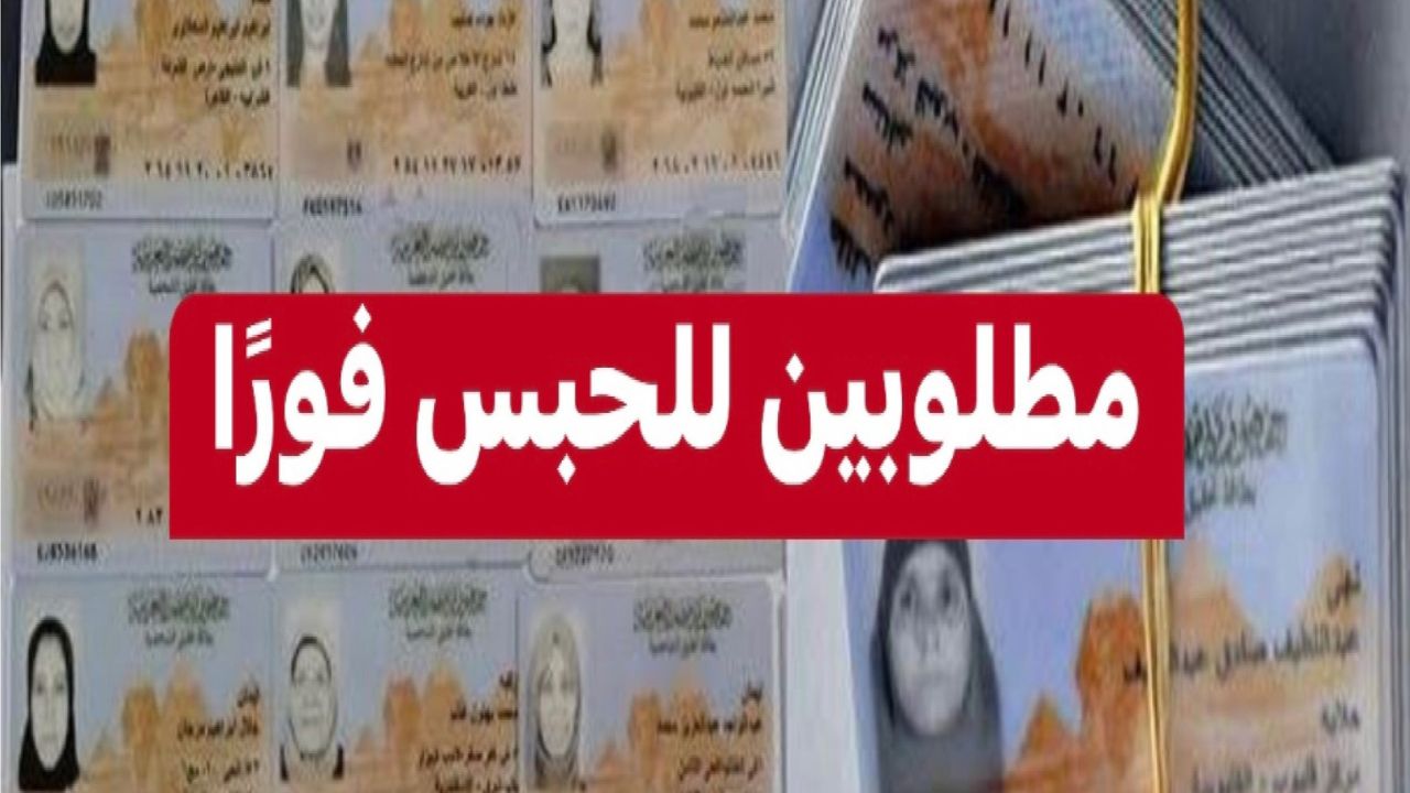 "متفكرش وروح السجل" عقوبات وغرامات مالية بسبب البطاقات الشخصية لبعض الفئات في مصر .. من هم 5 “متفكرش وروح السجل” عقوبات وغرامات مالية بسبب البطاقات الشخصية لبعض الفئات في مصر .. من هم