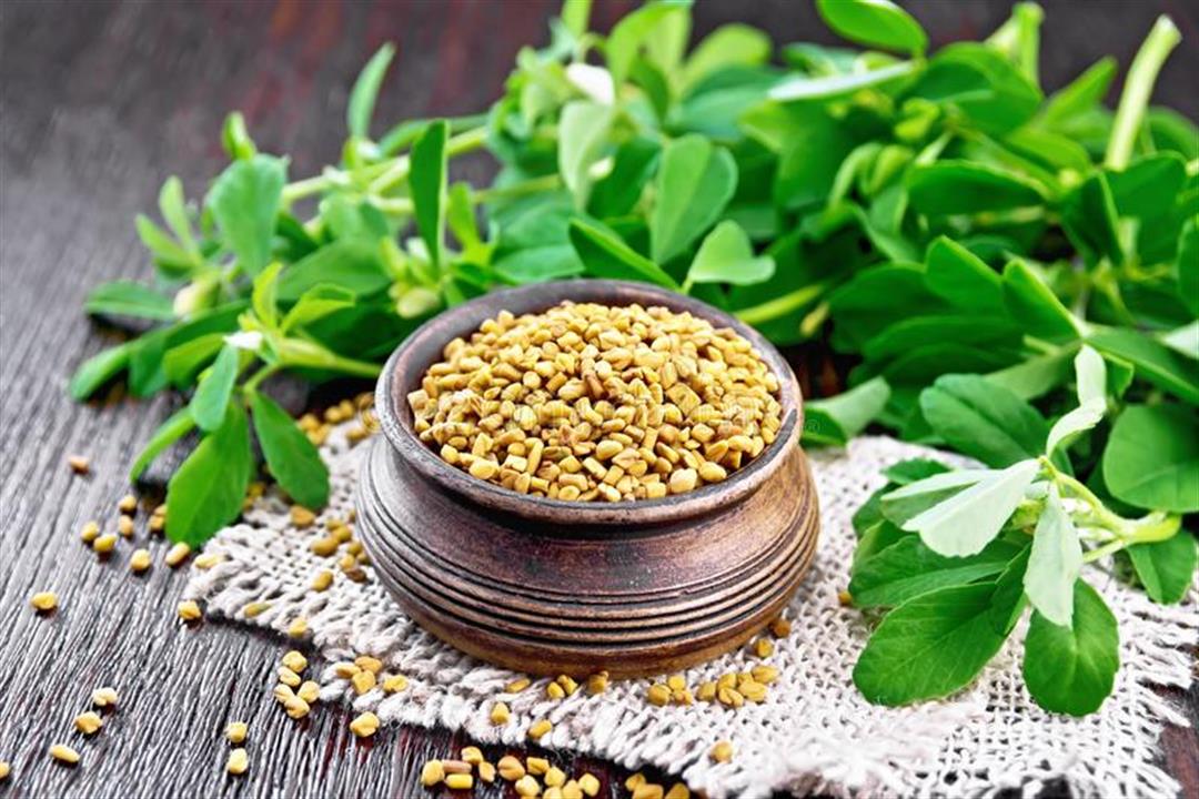 الشجرة المعجزة تعرف على أهم فوائد شجرة المورينجا لعلاج الأمراض المزمنة 5 الشجرة المعجزة تعرف على أهم فوائد شجرة المورينجا لعلاج الأمراض المزمنة