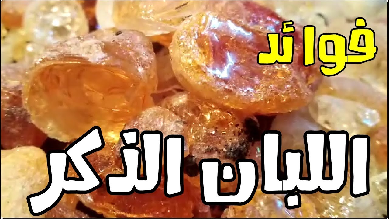 فوائد لبان الذكر على الريق كل ليلة لمدة 7 أيام لن تتخيل ماذا يحدث لجسمك