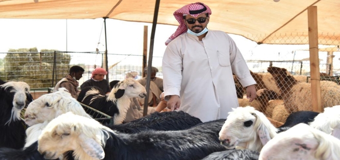 الخطوات المطلوبة للحصول على دعم صغار مربي المواشي 5 الخطوات المطلوبة للحصول على دعم صغار مربي المواشي