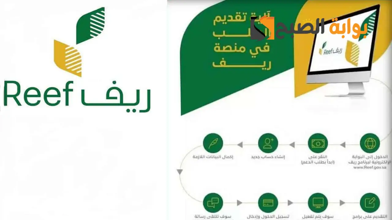 من هم مستحقي دعم ريف؟ وأهم الشروط وخطوات التقديم 5 من هم مستحقي دعم ريف؟ وأهم الشروط وخطوات التقديم
