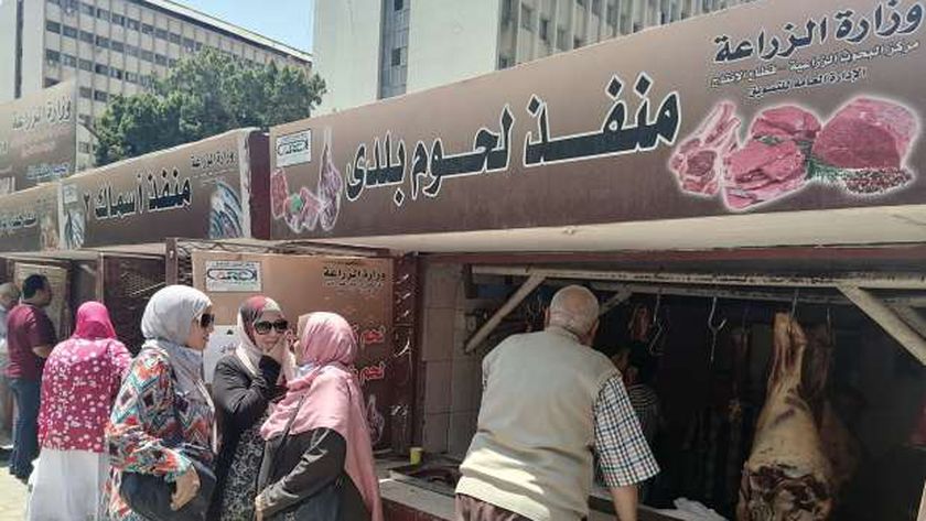 الزراعة تعلن طرح لحوم بلدية بـ 220 جنيها للكيلو في منافذها 5 الزراعة تعلن طرح لحوم بلدية بـ 220 جنيها للكيلو في منافذها